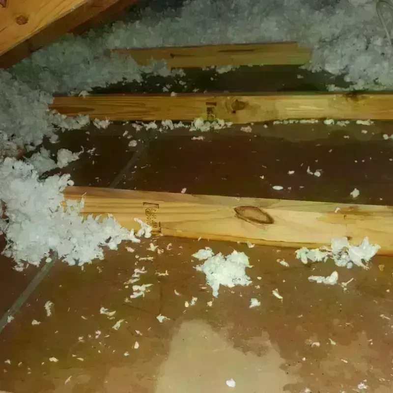 Attic Water Damage in Bowbells, ND